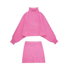 StCollar Knitwear Knitted Mini Skirt