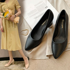 Women's High Chunky Pointed Black Wide Feet Heels