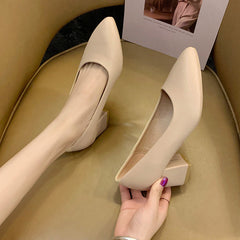 Women's High Chunky Pointed Black Wide Feet Heels