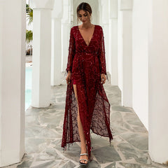 Tassel Sequ Banquet Dress