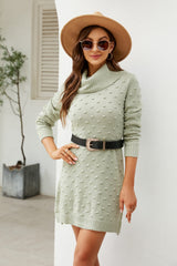 Pompom Turtleneck Slit Sweater Dress
