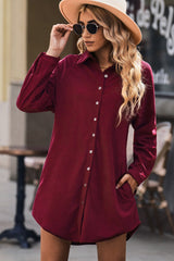 Robe chemise boutonnée sur le devant, ourlet incurvé, manches raglan
