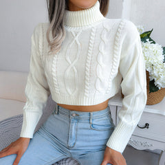 Twist Long Sleeve Turtleneck Cropped Pullover Sweater