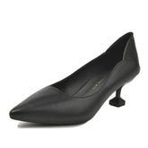 Unique Glamorous Women's With Black Soft Heels