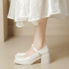 Elegant Women's Mary Jane Chunky Pumps