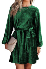 Green Crinkle Velvet Tie Waist Puff Sleeve Mini Dress