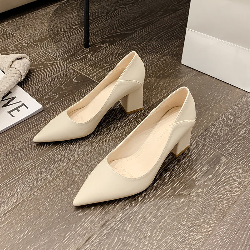 Women's Pumps Shallow Mouth Pointed Toeable