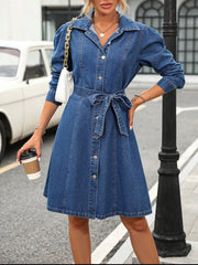 Retro Waist Controlled Slimming Long Sleeve Denim Dress Belted Button