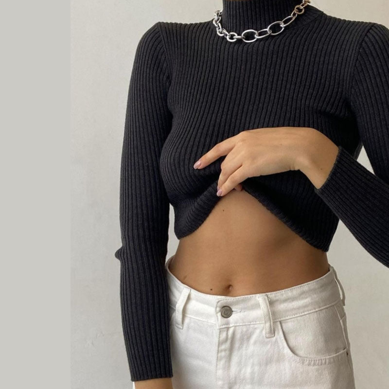 Long Sleeve High Collar High Waist Knitted Sweater Top