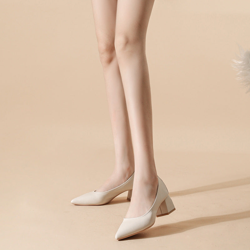Attractive Low-cut High Pointed Toe Spring