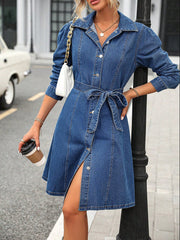 Retro Waist Controlled Slimming Long Sleeve Denim Dress Belted Button