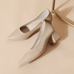 Attractive Low-cut High Pointed Toe Spring