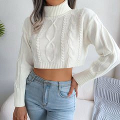 Twist Long Sleeve Turtleneck Cropped Pullover Sweater