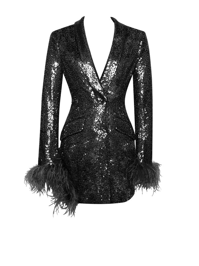 Feather Stitching Sequ Sheath Dress