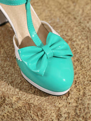 Bowknot Chunky Heels Mary Jane Shoes