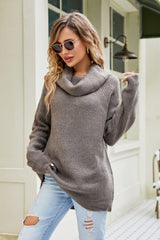 Cowl Neck Raglan Sleeve Sweater