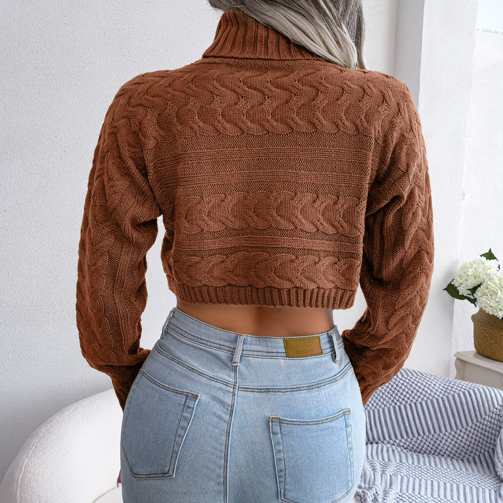 Cable-Knit Turtleneck Cropped Sweater